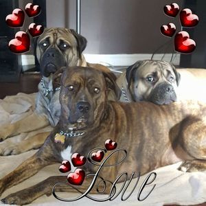 Meet your Posher, Monique